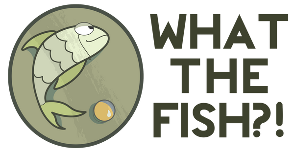 What The Fish